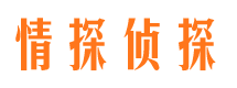 墨脱侦探公司